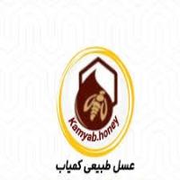 لوگوی عسل کمیاب خوانسار