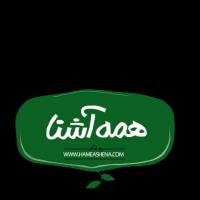 شرکت همه آشنا