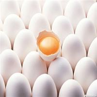 برای تامین نیاز بازار ۹۵ میلیون عدد تخم مرغ نطفه‌ دار وارد کشور شد