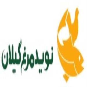 لوگوی شرکت نوید مرغ گیلان