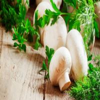 سرانه مصرف قارچ در کشور 25 درصد افزایش یافت