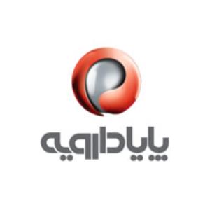 لوگوی شرکت پایادارویه
