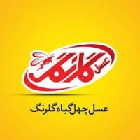لوگوی شرکت عسل چهل گیاه گلرنگ