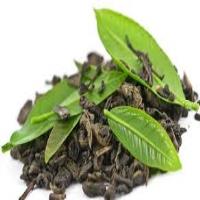 خرید تضمینی برگ سبز چای به 102 هزارتن رسید/افزایش 10 درصدی تولید برگ سبز چای