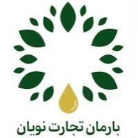لوگوی شرکت بارمان تجارت نویان