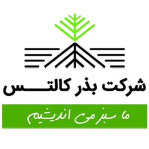 شرکت بذر کالتس