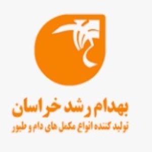 لوگوی شرکت بهدام رشد خراسان