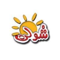 لوگوی شرکت شولن