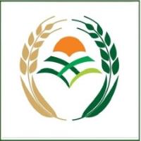 لوگوی عصر گلستان نیکان