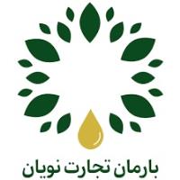 لوگوی شرکت بارمان تجارت نویان