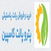 لوگوی شرکت پترو پالت کاسپین