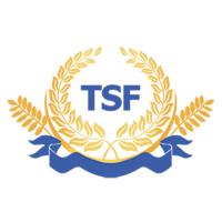 لوگوی شرکت طلوع سپهر فردا