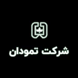 لوگوی شرکت تمودان