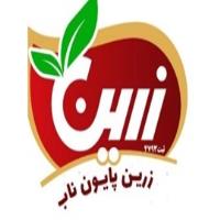 لوگوی شرکت زرین پایون ناب