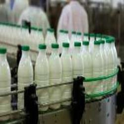 استاندارد آفلاتوکسین شیر و مواد غذایی از نظر سازمان بهداشت جهانی
