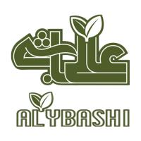 لوگوی شرکت هونام صنعت زرین