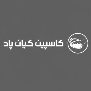 شرکت کاسپین کیان پاد