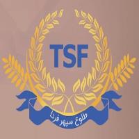 لوگوی شرکت طلوع سپهر فردا