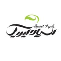 لوگوی اسپاد تجارت آیریک